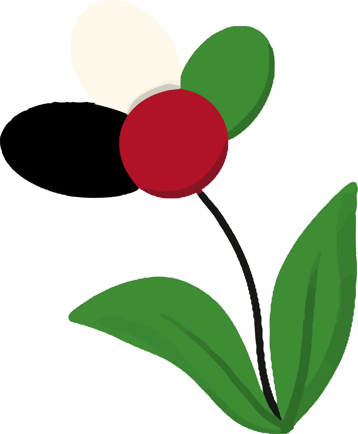 Flower in Palestinian Flag Colors